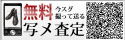無料写メール査定